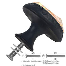 Acero d'autunno 4 PCS Pomelli per Porta, Pomolo per Mobile, Pomelli per Mobili con Viti, Maniglia per Armadietto, Pomelli per Porta, Pomelli per Cassetti per Porta, Armadio, Cassetto e Credenza