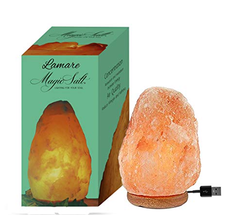 Artigianato Lampada di Sale USB dell'Himalaya Multicolor Naturale