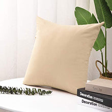 Pannow - Set di 2 federe per cuscino impermeabile per esterni, per interni, esterni, divano, in rattan, 50,8 x 50,8 cm, solo federa