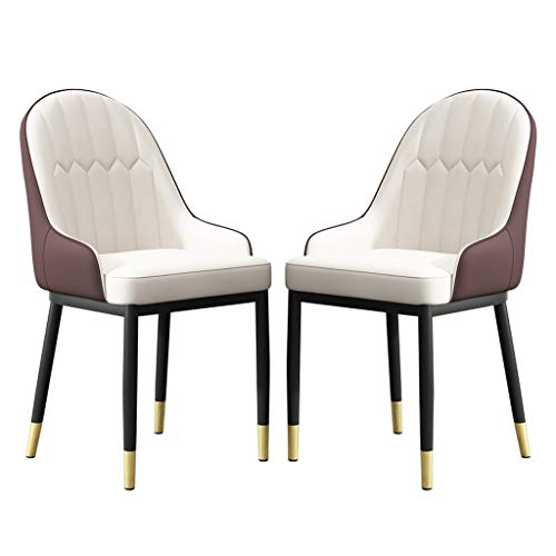 SYN-GUGAI Arredamento Set di 2 Sedie da Pranzo, Sedia Moderna Imbottita per Il Tempo Libero in Pelle PU Impermeabile con Gambe in Metallo in Ferro per Soggiorno Cucina, Facile da Pulire (Color : B)
