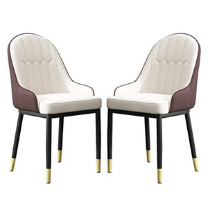 SYN-GUGAI Arredamento Set di 2 Sedie da Pranzo, Sedia Moderna Imbottita per Il Tempo Libero in Pelle PU Impermeabile con Gambe in Metallo in Ferro per Soggiorno Cucina, Facile da Pulire (Color : B)