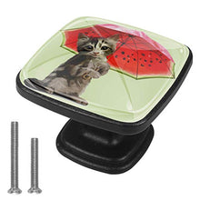 Katie tiene l'ombrello Pomelli per Porta Set di 4 Pomelli per Mobili Manopole per Cassetti Cucina Armadio Vetro