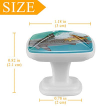 Tartaruga balena 4 PCS Pomelli per Porta, Pomolo per Mobile, Pomelli per Mobili con Viti, Maniglia per Armadietto, Pomelli per Porta, Pomelli per Cassetti per Porta, Armadio, Cassetto e Credenza