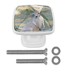 canguro 4 PCS Pomelli per Porta, Pomolo per Mobile, Pomelli per Mobili con Viti, Maniglia per Armadietto, Pomelli per Porta, Pomelli per Cassetti per Porta, Armadio, Cassetto e Credenza