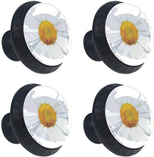 White Little Daisy Petal Blooming Pomelli per Porta Set di 4 Pomelli per Mobili Manopole per Cassetti Cucina Armadio Vetro