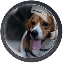 Piccolo cane da lepre che attacca lingua fuori Pomelli per Porta Set di 4 Pomelli per Mobili Manopole per Cassetti Cucina Armadio Vetro