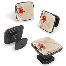 Stelle marine conchiglie pietre di mare e foglie di palma Pomelli per Porta Set di 4 Pomelli per Mobili Manopole per Cassetti Cucina Armadio Vetro