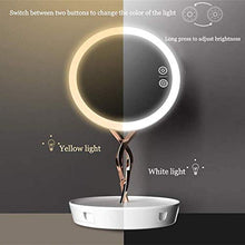 Specchio da tavolo da tavolo, specchio per il trucco Vanity Vanity Rotazione girevole a 360 gradi Stand in metallo Desktop Complementary Light Desktop Specchio per il trucco per la camera da letto per