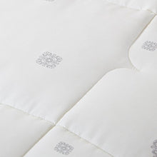 Fibra Invernale Imbottita in Velluto Piuma Termica,Bianco,200 * 230 cm