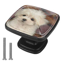 Cane carino in legno soffice cane Pomelli per Porta Set di 4 Pomelli per Mobili Manopole per Cassetti Cucina Armadio Vetro