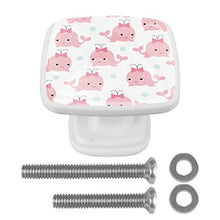 Set di 4 maniglie rotonde per armadio da cucina, credenza, cassettiera, cassettiera, con viti, per cucina, comò, armadietto, bagno, armadio con motivo a delfini cartoni animati con fiocco
