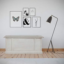 Homemania 1007_PF Cassapanca Alma, Bianco in Legno, 100 x 35 x 45 cm