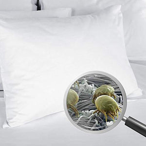 Allergosystem Set Antiacaro Composto da coprimaterasso con Cerniera per Letto Matrimoniale, 160x190x20cm e 2 copricuscino, 50x80cm, 100% Polipropilene, Bianco, 160 x 190 x 20 cm
