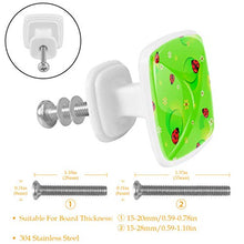 coccinella (2) 4 PCS Pomelli per Porta, Pomolo per Mobile, Pomelli per Mobili con Viti, Maniglia per Armadietto, Pomelli per Porta, Pomelli per Cassetti per Porta, Armadio, Cassetto e Credenza