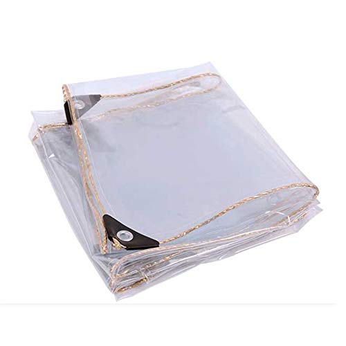 GOODLUKE Telone Trasparente Impermeabile, Tela Pioggia Telo in Plastica PVC Clear Resistente con Occhielli, Coperture in Fogli per Piante da Fiore per Esterno Interno (0,35 mm & 450g/m²),100x500cm