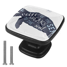tartaruga 4 PCS Pomelli per Porta, Pomolo per Mobile, Pomelli per Mobili con Viti, Maniglia per Armadietto, Pomelli per Porta, Pomelli per Cassetti per Porta, Armadio, Cassetto e Credenza