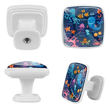 Vita marina (3) 4 PCS Pomelli per Porta, Pomolo per Mobile, Pomelli per Mobili con Viti, Maniglia per Armadietto, Pomelli per Porta, Pomelli per Cassetti per Porta, Armadio, Cassetto e Credenza