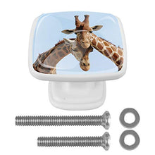 Coppia di giraffa 4 PCS Pomelli per Porta, Pomolo per Mobile, Pomelli per Mobili con Viti, Maniglia per Armadietto, Pomelli per Porta, Pomelli per Cassetti per Porta, Armadio, Cassetto e Credenza