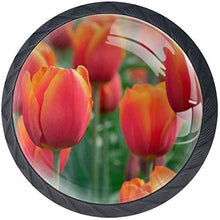 Tulip Flowers Field Plant Pomelli per Porta Set di 4 Pomelli per Mobili Manopole per Cassetti Cucina Armadio Vetro