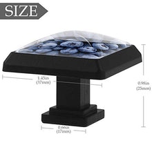 mirtillo 3 PCS Pomelli per Porta, Pomolo per Mobile, Pomelli per Mobili con Viti, Maniglia per Armadietto, Pomelli per Porta, Pomelli per Cassetti per Porta, Armadio, Cassetto e Credenza