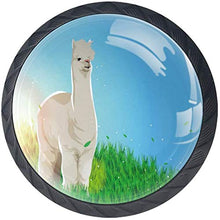 Lama Alpaca Sulla Prateria Pomelli per Porta Set di 4 Pomelli per Mobili Manopole per Cassetti Cucina Armadio Vetro