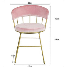 EXCLVEA Sedile per Trucco per Camera da Letto Salotto Rosa Vanity Sedie Accent Imbottito di Trucco Gambe feci con placcatura in Oro Metallo for Camera da Letto in Camera da Pranzo Cucina Patio