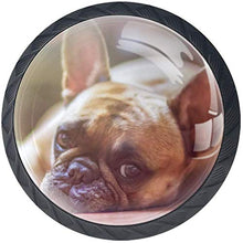 Bulldog francese stanco carino Pomelli per Porta Set di 4 Pomelli per Mobili Manopole per Cassetti Cucina Armadio Vetro