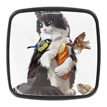 Gatto che alimenta uccello pittura ad acquerello uccello gatto Pomelli per Porta Set di 4 Pomelli per Mobili Manopole per Cassetti Cucina Armadio Vetro