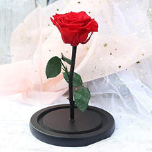 QYMX Eternal Flower Rose Red Rose in Flask Cupola di Vetro su Una Base di Legno per Il Regalo di Natale Decorazione della tavola di casa Fiori eterni