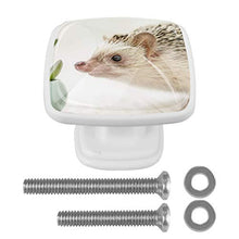 Pianta animale 4 PCS Pomelli per Porta, Pomolo per Mobile, Pomelli per Mobili con Viti, Maniglia per Armadietto, Pomelli per Porta, Pomelli per Cassetti per Porta, Armadio, Cassetto e Credenza