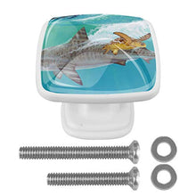 Tartaruga balena 4 PCS Pomelli per Porta, Pomolo per Mobile, Pomelli per Mobili con Viti, Maniglia per Armadietto, Pomelli per Porta, Pomelli per Cassetti per Porta, Armadio, Cassetto e Credenza