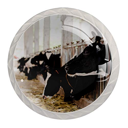 Manopole per cassetti in vetro di cristallo, per cassetti, cassetti, cassetti, cassetti, armadi, comodini, librerie, teste di mucche bianche e nere