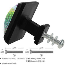 pavone 3 PCS Pomelli per Porta, Pomolo per Mobile, Pomelli per Mobili con Viti, Maniglia per Armadietto, Pomelli per Porta, Pomelli per Cassetti per Porta, Armadio, Cassetto e Credenza
