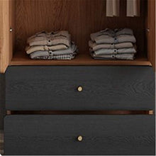 LiChaoWen Armadio Assemblaggio Assemblaggio a Due Porte Armadio Moderno Minimalista Armadio a Due Porte Piccolo Appartamento Appartamento Armadio Armadio Armadi Camera da Letto