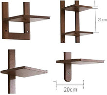 Una partizione Libreria Bagagli Display Rack Riferimento specifico Taglie di Alta qualità Rovere consistenza compatta Tiers Parete Solida Legno Legno, Materiale: (Size : B)