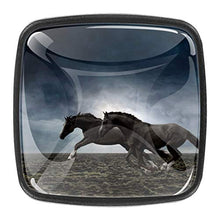 Corsa cavallo nero (3) 4 PCS Pomelli per Porta, Pomolo per Mobile, Pomelli per Mobili con Viti, Maniglia per Armadietto, Pomelli per Porta, Pomelli per Cassetti per Porta, Armadio, Cassetto e Credenza