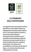 Offerta Set n°10 Listelli Curvati in Legno di Faggio - Ricambio per Doga – 6,7 X 79 X 0,8 Cm (pz 10)