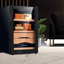 Xing Hua home Umidificatori Humidor Frigorifero Monoporta A Temperatura Costante Armadio per Sigari A Temperatura E umidità Costanti Armadio Idratante umidità Regolabile Ripiano in Legno di Cedro