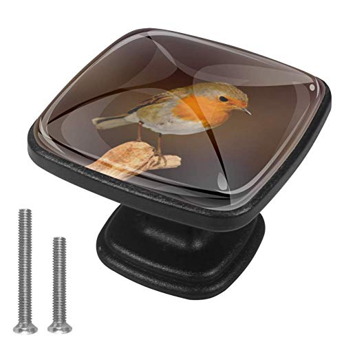 Manopole per cassettiera da 4 pezzi Maniglie per cassetti quadrati Maniglia con viti per armadio da cucina di casa - Robin Bird Garden Songbird Nature Garden Bird