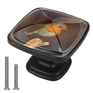 Manopole per cassettiera da 4 pezzi Maniglie per cassetti quadrati Maniglia con viti per armadio da cucina di casa - Robin Bird Garden Songbird Nature Garden Bird