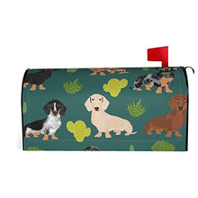 Doxie Cactus Cute Dachshund Dog Designs - Copertura magnetica per cassetta postale per giardino, cortile, dimensioni standard, 53 x 45 cm