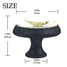 Tartaruga divertente 4 PCS Pomelli per Porta, Pomolo per Mobile, Pomelli per Mobili con Viti, Maniglia per Armadietto, Pomelli per Porta, Pomelli per Cassetti per Porta, Armadio, Cassetto e Credenza