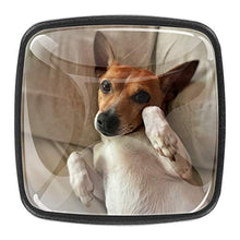 simpatico cane Jack Russell Pomelli per Porta Set di 4 Pomelli per Mobili Manopole per Cassetti Cucina Armadio Vetro