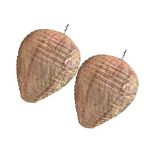ARTFFEL Vola Materiali 2pcs unità Beehive Lanterna simulato Falso Portatile Wasp deterrente a Nido d'Ape Luce Giardinaggio for Garden Home .Compleanno