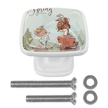 Cervo di primavera 4 PCS Pomelli per Porta, Pomolo per Mobile, Pomelli per Mobili con Viti, Maniglia per Armadietto, Pomelli per Porta, Pomelli per Cassetti per Porta, Armadio, Cassetto e Credenza