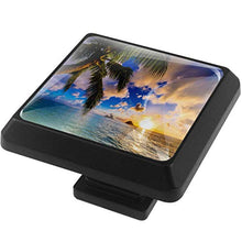 Alba hawaiana 3 PCS Pomelli per Porta, Pomolo per Mobile, Pomelli per Mobili con Viti, Maniglia per Armadietto, Pomelli per Porta, Pomelli per Cassetti per Porta, Armadio, Cassetto e Credenza