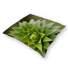 Happygoluck1y - Federa per cuscino con piante grasse e piante grasse, 45 x 45 cm, per divano, adolescenti, ragazze, idea regalo