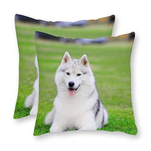 happygoluck1y - Set di 2 federe per cuscini in tela con cagnolino siberiano su prato verde, 18 x 18 cm, per cuscini in tela