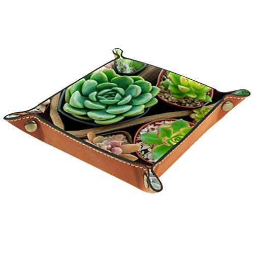 1 x vassoio portamonete in pelle PU per servire chiavi, portafoglio, portamonete, contenitore portaoggetti, bidoni, fiori., Piante da giardino in scatola di legno, 16x16cm