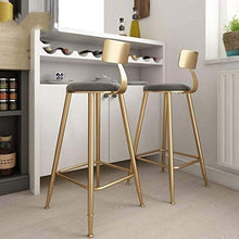 Yxsd Bar sgabello da cucina presiede i piedini in metallo Caffè Ristorante con schienale di design for la colazione e casa sedia semplice moderna Ferro da pranzo gamba Oro vento Adatto for Interno Sed
